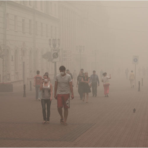 Ambiente: lo Smog Danneggia Fortemente la Salute