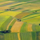 Arriva 'Efesto' per Risparmiare su Acqua e Pesticidi