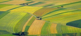 Arriva 'Efesto' per Risparmiare su Acqua e Pesticidi