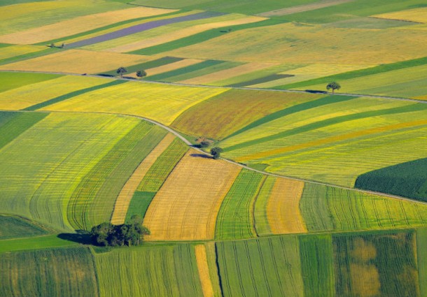 Arriva 'Efesto' per Risparmiare su Acqua e Pesticidi