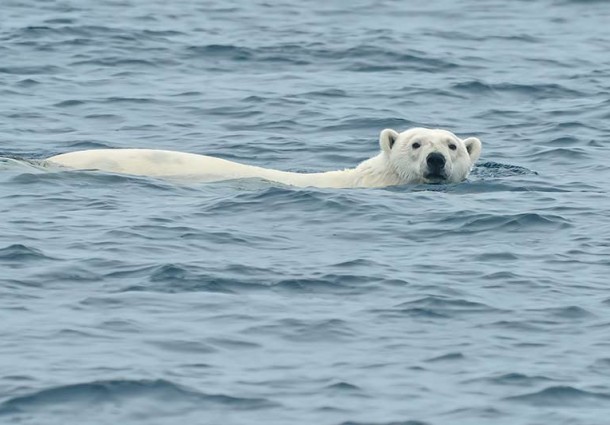 Progetto Arca: lo studio del Sistema Climatico e dei suoi Cambiamenti