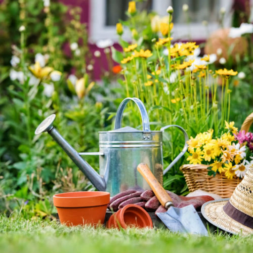 Giardinaggio sostenibile: il robot per la manutenzione del giardino piace