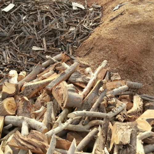 Biomasse solide: pilastro dell'economia circolare