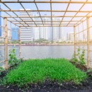 Nasce Città d’Orti, il progetto comune di LifeGate, Slow Food Italia e Comart