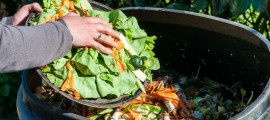 Capannori:Contro lo Spreco Alimentare