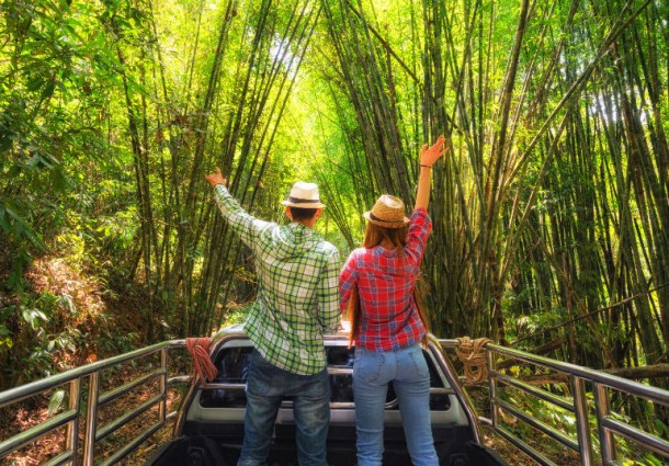 Ford sperimenta l’utilizzo del bambù per la produzione di componenti ecosostenibili ad ‘alta resistenza’