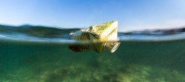 Plastica in mare: salpa il veliero di Expédition MED