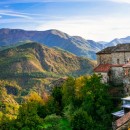 EBS: in Italia patrimonio boschivo in aumento