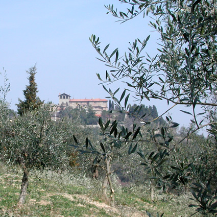 360 green revolution, 360 green revolution monte vibiano, monte vibiano, monte vibiano 360 green revolution, monte vibiano umbria