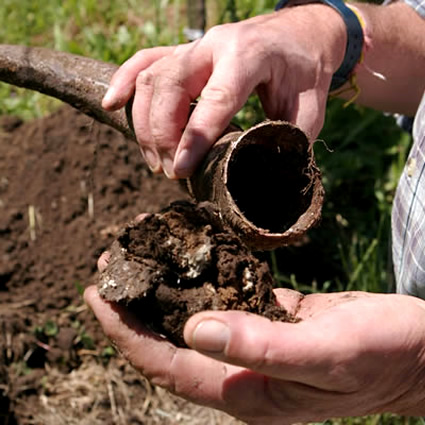 agricoltura biodinamica, convegno agricoltura biodinamica, associazione agricoltura biodinamica, agricoltori biodinamici