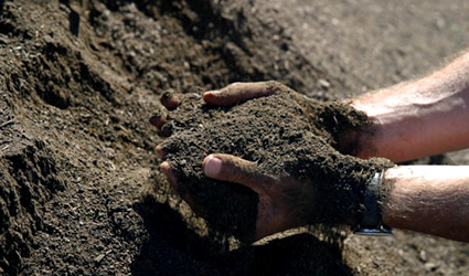 agricoltura biodinamica, preparati vegetali agricoltura biodinamica, agricoltori biodinamici, maria thun