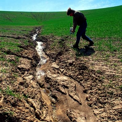 agricoltura e desertificazione, terre a rischio di desertificazione, agricoltura indiana, desertificazione in india