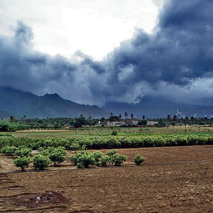 agricoltura e desertificazione, terre a rischio di desertificazione, agricoltura indiana, desertificazione in india