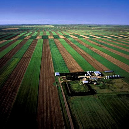 agricoltura intensiva, azoto acqua, nitriti e nitrati, nitrati acqua, inquinamento idrico, azoto e agricoltura