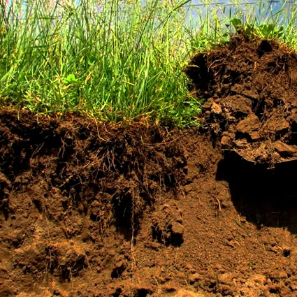 corso agricoltura biodinamica, agricoltura biodinamica, fertilità della terra