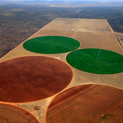 agricoltura sostenibile, agricoltura biologica, agricoltura e cambiamento climatico, agricoltura cop15, cop15