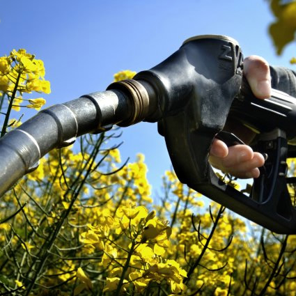 agricoltura sostenibile, agricoltura biologica, agricoltura e cambiamento climatico, agricoltura cop15, cop15