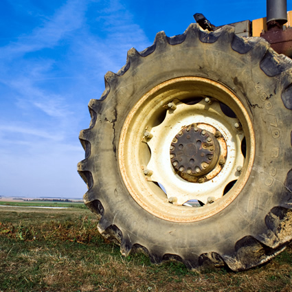 co2, carbone agricolo, co2 carbone agricolo, terreno e carbone  agricolo