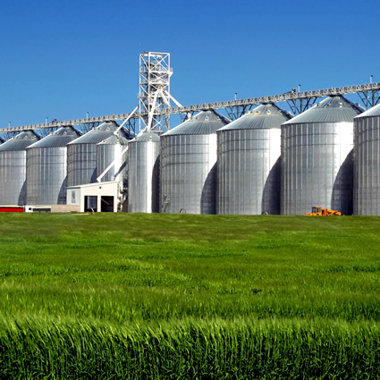 agricoltura urbana, fabbisogno energetico in agricoltura, agricoltura km0, agricoltura km0 esempi