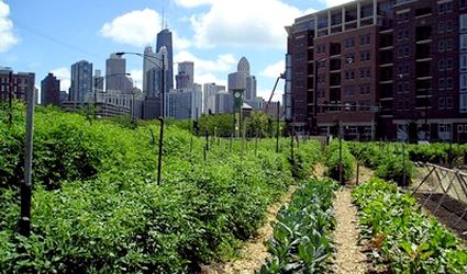 agricoltura urbana, agricoltura urbana sostenibile, agricoltura urbana vancouver, agricoltura urbana sostenibile vancouver