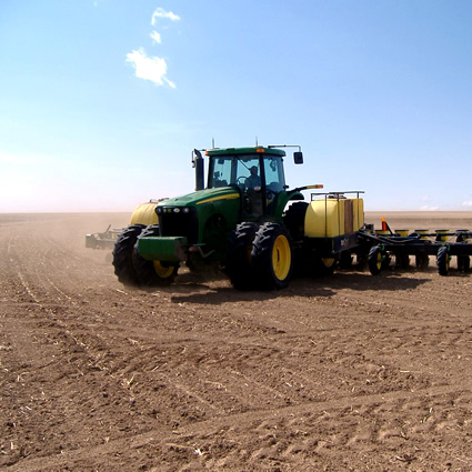 agricoltura urbana, agricoltura sostenibile, agricoltura cambiamenti climatici