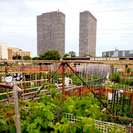 agricoltura urbana, agricoltura sostenibile, agricoltura sostenibile urbana, agricoltura in città, agricoltura urbana londa