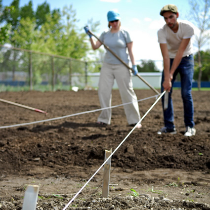 agricoltura urbana, alimentazione e agricoltura urbana, produzione alimentare locale, produzione agricola locale