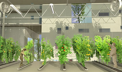architettura_sostenibile_agro_housing_sostenibilità_bioarchitettura_bioedilizia_ventilazione_naturale_serra_coltivazione