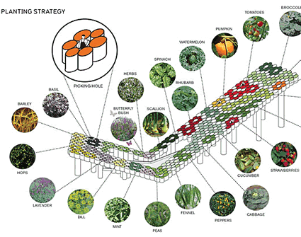 architettura_sostenibile_fattoria_urbana_ps1_ny_tetto_verde_giardino_verticale_