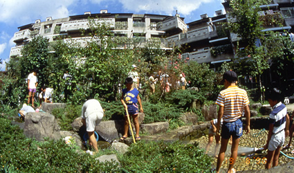 ecovillaggi, ecovillaggio, ecovillaggi giappone, ecovillaggio giappone ecovillage