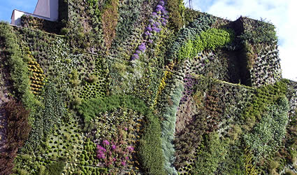 giardini_verticali_giardino_verticale_patrick_blanc_caixa_forum_madrid_muro_verde_verticale