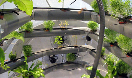 Urban Space Station, agricoltura urbana, agricoltura urbana Urban Space Station, agricoltura in città, Urban Space Station