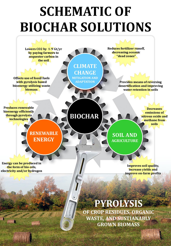 biochar, produrre biochar, biochar 1000, biochar systems