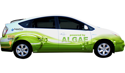 biocarburanti dalle alghe, biocarburante dalle alghe, alghe e biodiesel, biodiesel dalle alghe