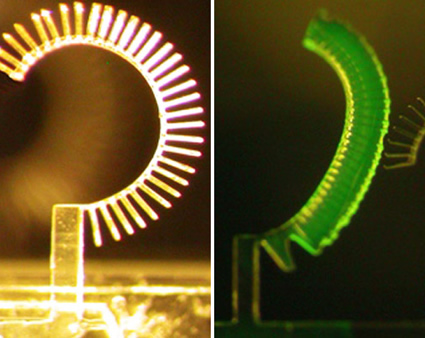 biomimesi, biomimesi foglie artificiali, foglie produzione di energia, foglie artificiali produzione energia elettrica