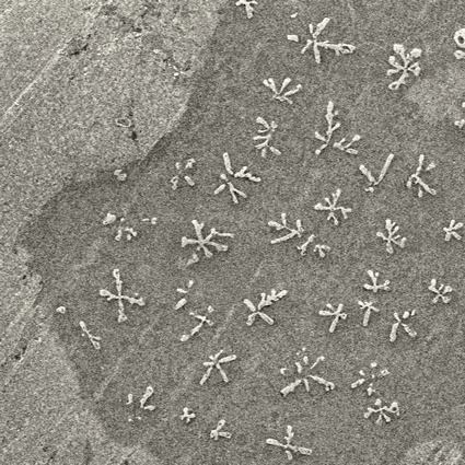 cemento co2, calcestruzzo co2, assorbire co2 cemento co2, calcestruzzo co2, assorbire co2