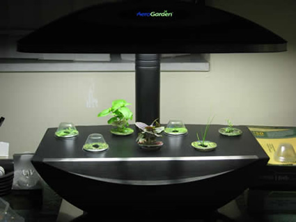 agricoltura aeroponica, agricoltura in casa, aerogarden, aerogarden aerogrow, aerogrow, aerogrow agricoltura aeroponica  