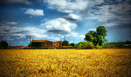 agricoltori, paesaggio agricoltori, agricoltori paesaggio rurale, paesaggio rurale, agricoltura, finanziamenti agricoltori, finanziamenti agricoltura