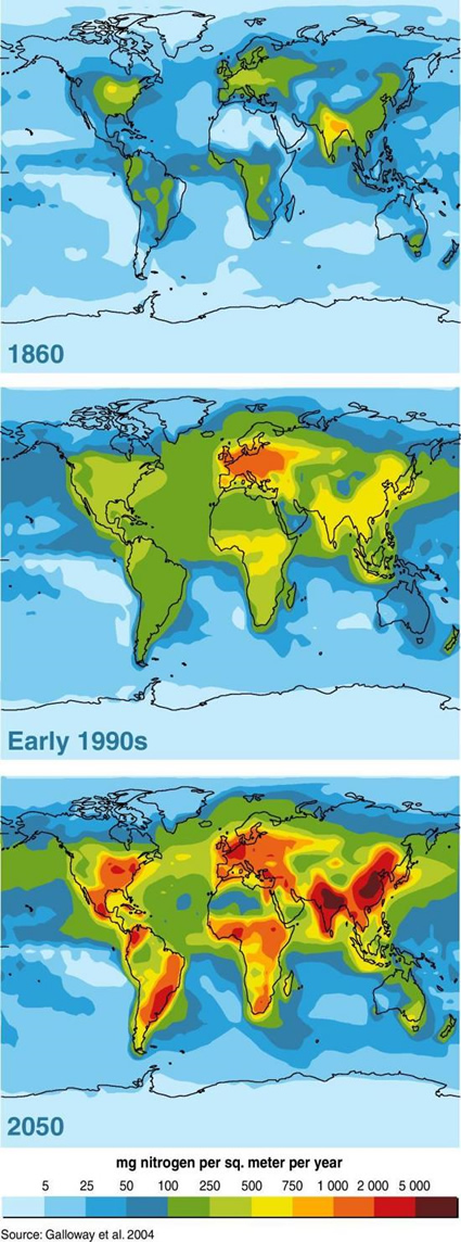 agricoltura sostenibile, fertilizzante sostenibile, fertilizzante ecologico, fertilizzante naturale, fertilizzanti azotati, fertilizzanti chimici