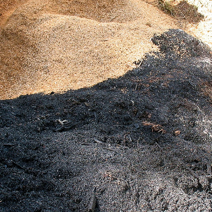 biochar, carbone agricolo, biochar  carbone agricolo, biochar fertilizzante, carbone agricolo fertilizzante, produrre biochar