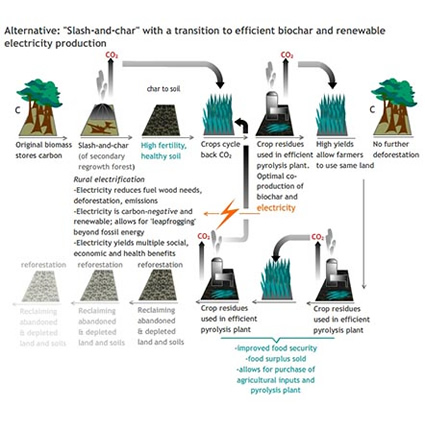 biochar, biochar congo, biochar carbone agricolo, biochar carbone agricolo, terra preta, terra preta biochar