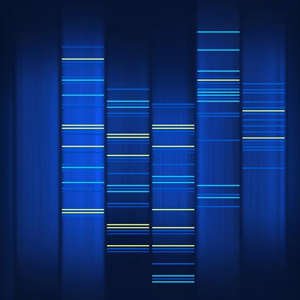 effetti ogm, ogm effetti, effetti involontari ogm, effetti ingegneria genetica, organismi geneticamente modificati