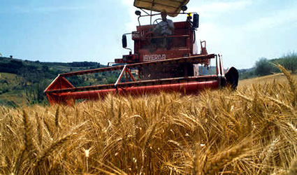 fattoria sociale, fattorie sociali, agricoltura sociale, filiera corta, agricoltura biologica, cibo locale, agricoltura locale, prodotti locali, agricoltore sociale locale