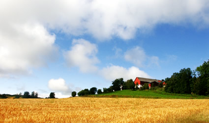 fattoria sociale, fattorie sociali, agricoltura sociale, filiera corta, agricoltura biologica, cibo locale, agricoltura locale, prodotti locali, agricoltore sociale locale