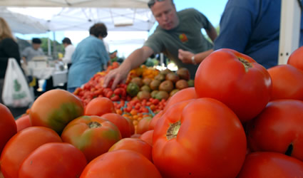 fattoria sociale, fattorie sociali, agricoltura sociale, filiera corta, agricoltura biologica, cibo locale, agricoltura locale, prodotti locali, agricoltore sociale locale