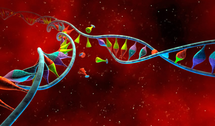 ogm, colture ogm, sperimentazioni ogm, colture geneticamente modificate