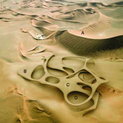 sabbia deserto sahara, desertificazione sahara, fermare desertificazione, magnus larsson, magus larsson sahara, magnus larsson desertificazione
