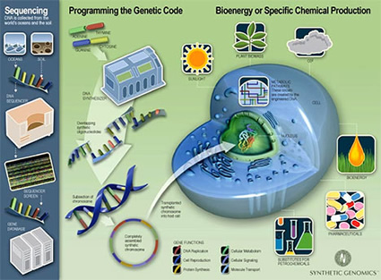 biocarburanti_4_generazione_genetica_biodiesel_etanolo_biocarburante_4_generazione_etanolo_biodiesel_zucchero_amyris