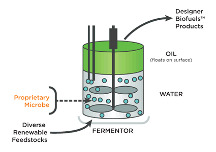 biocarburanti_batteri_biocarburante_batteri_ogm_4_generazione_biocarburanti_ls9