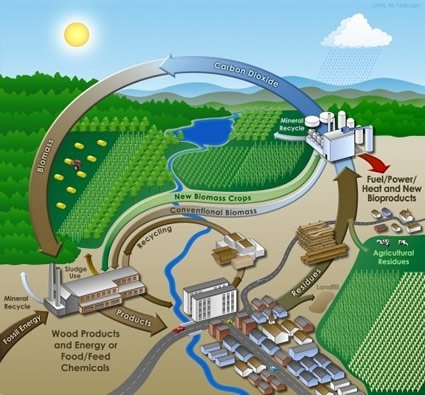 biocarburanti_sostenibili_biocarburante_sostenibili_unione_europea_ue_trasporto_elettrico_automobili_elettriche